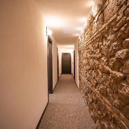 Domus Ancona Gæstehus 4*